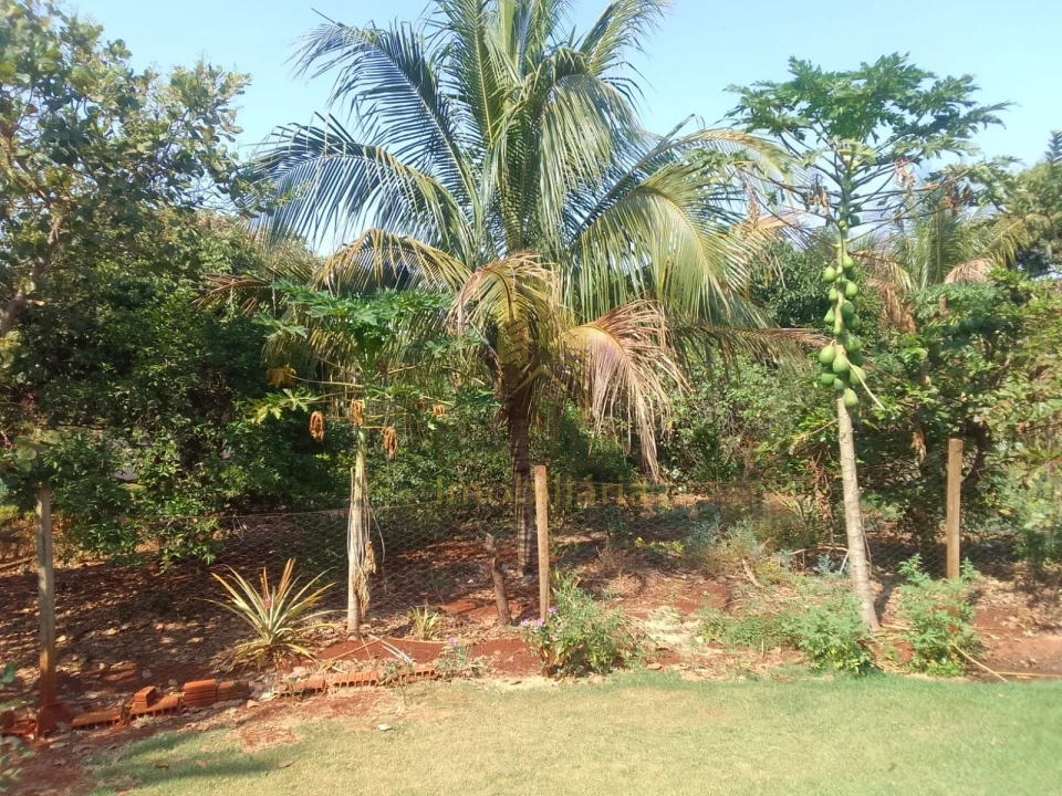Imagens do imóveis Fazenda/Sítios/Chácaras À Venda Chacara Estância Alvorada Alvorada Do Sul