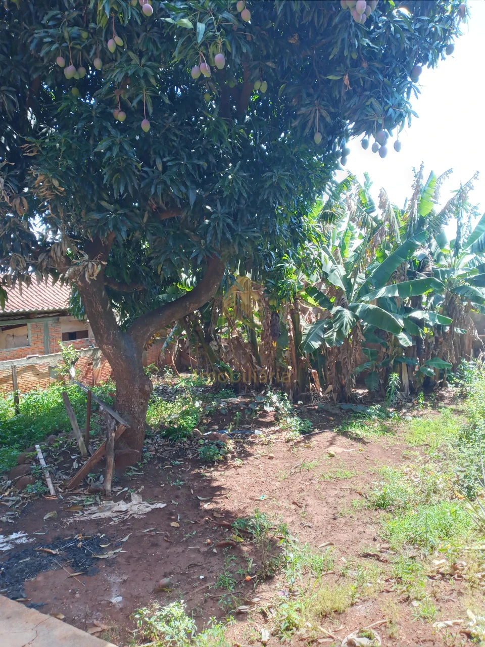 Imagens do imóveis CASA SÃO FRANCISCO - CENTRO