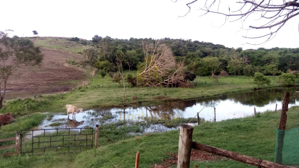 Imagens do imóveis Fazenda/Sítios/Chácaras À Venda Chacara Jaguapitã