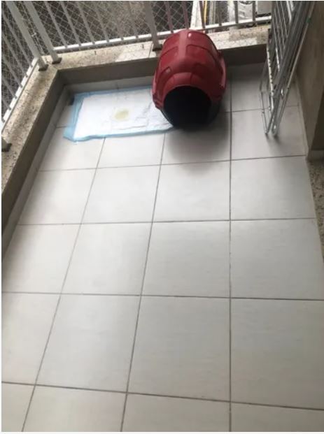 Imagens do imóveis Apartamento Residencial
