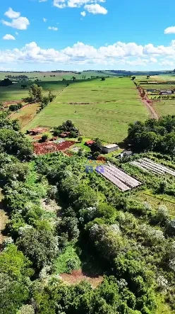 SÍTIO 10 ALQUEIRES - ESTRADA COMUNIDADE CACHOEIRINHA - CAMBÉ
