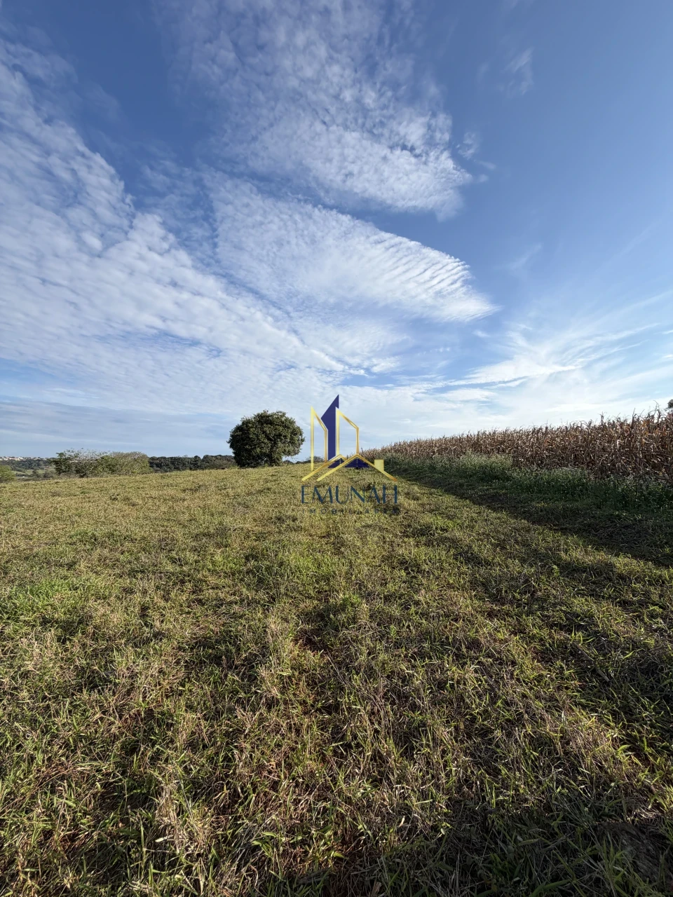 Imagens do imóveis Fazenda/Sítios/Chácaras À Venda Ribeirao Jacutinga Ibipora