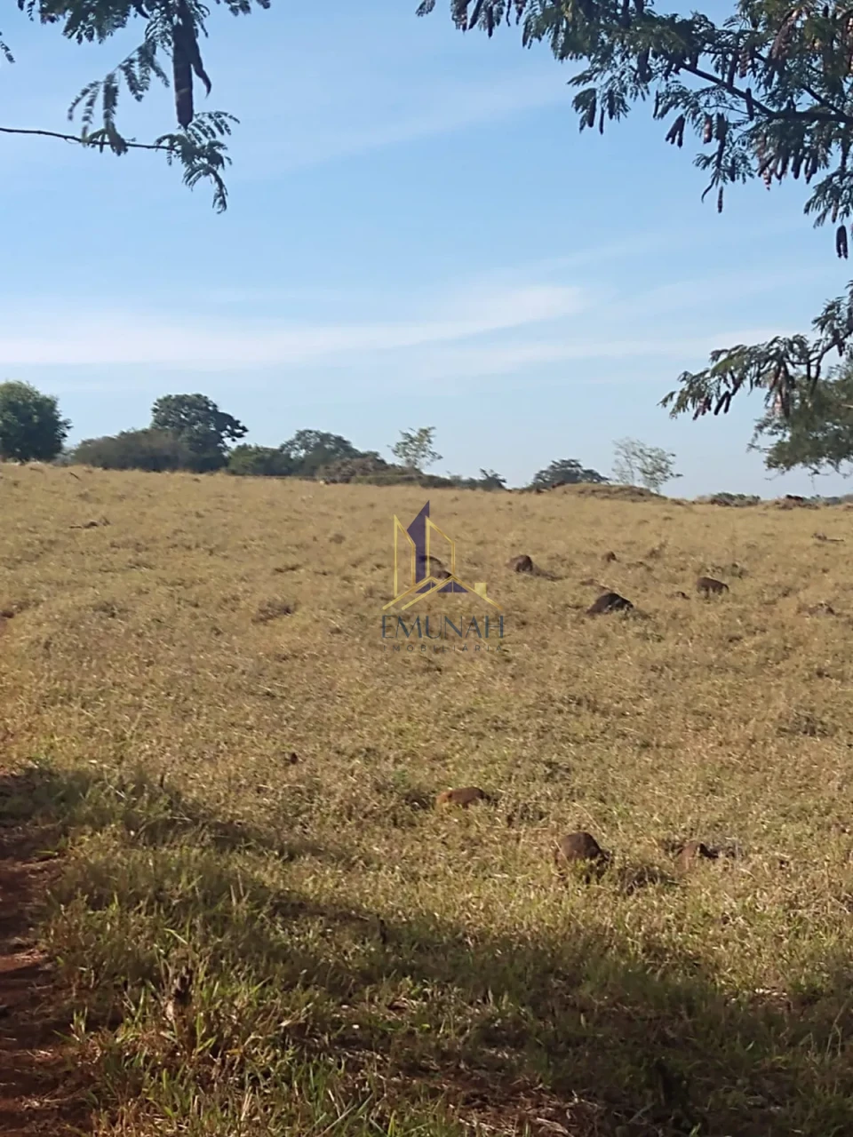 Imagens do imóveis Fazenda/Sítios/Chácaras À Venda Ribeirao Jacutinga Ibipora