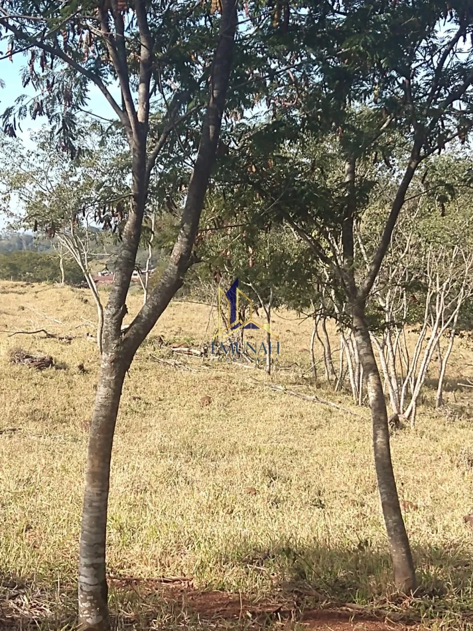 Imagens do imóveis Fazenda/Sítios/Chácaras À Venda Ribeirao Jacutinga Ibipora