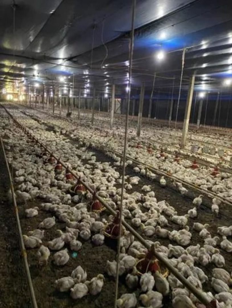 Imagens do imóveis Fazenda/Sítios/Chácaras Zona Rural