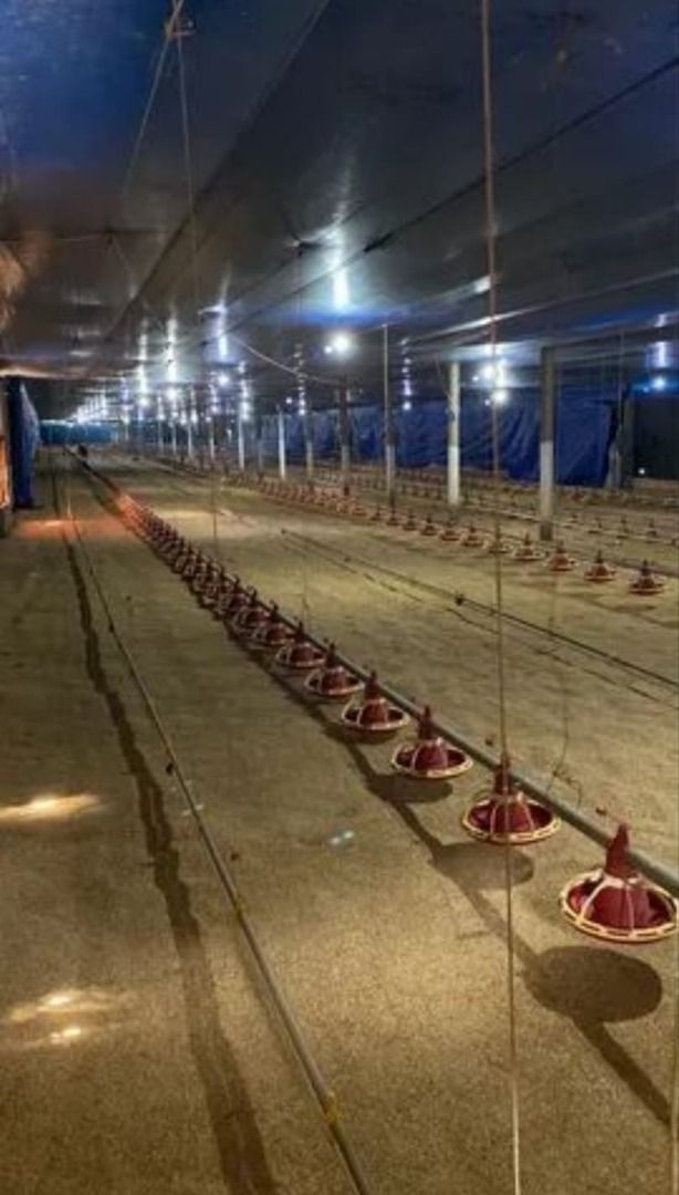 Imagens do imóveis Fazenda/Sítios/Chácaras Zona Rural