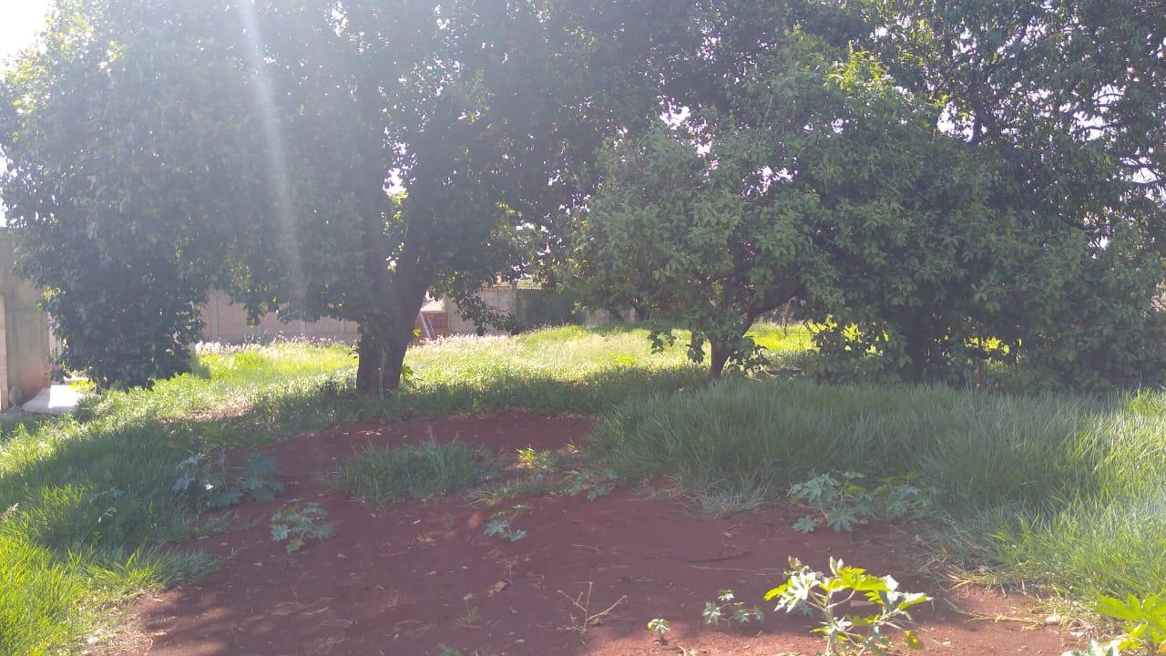 Terreno Igapó Imagens do imóveis Terreno Igapó