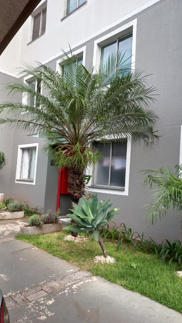 Imagens do imóveis Liberta Spazio Vila Filipin