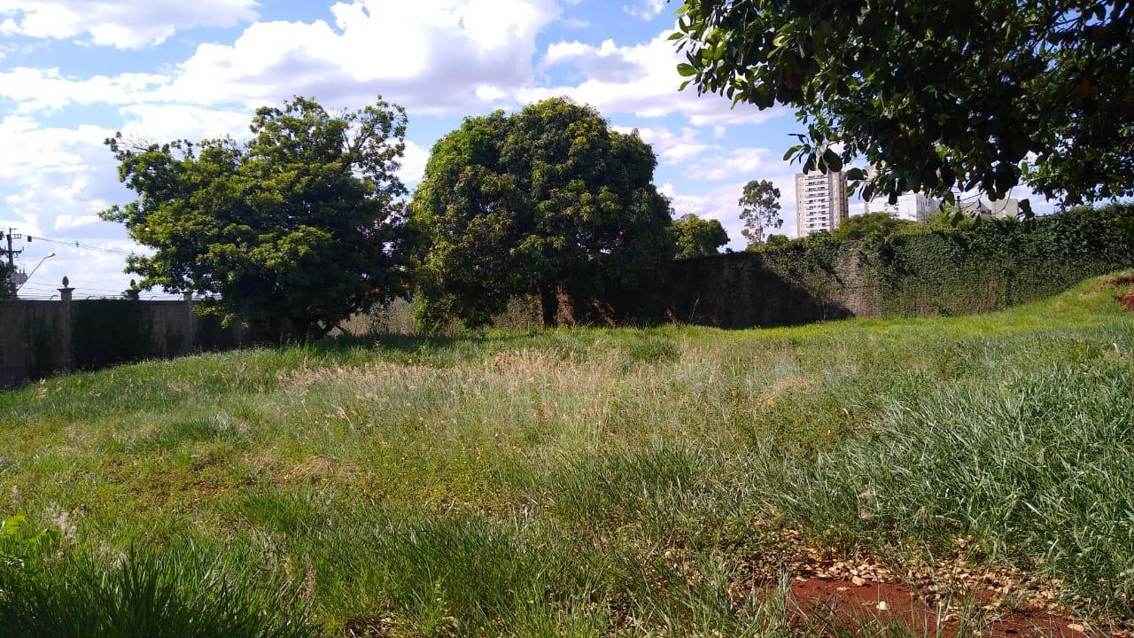 Terreno Igapó Imagens do imóveis Terreno Igapó