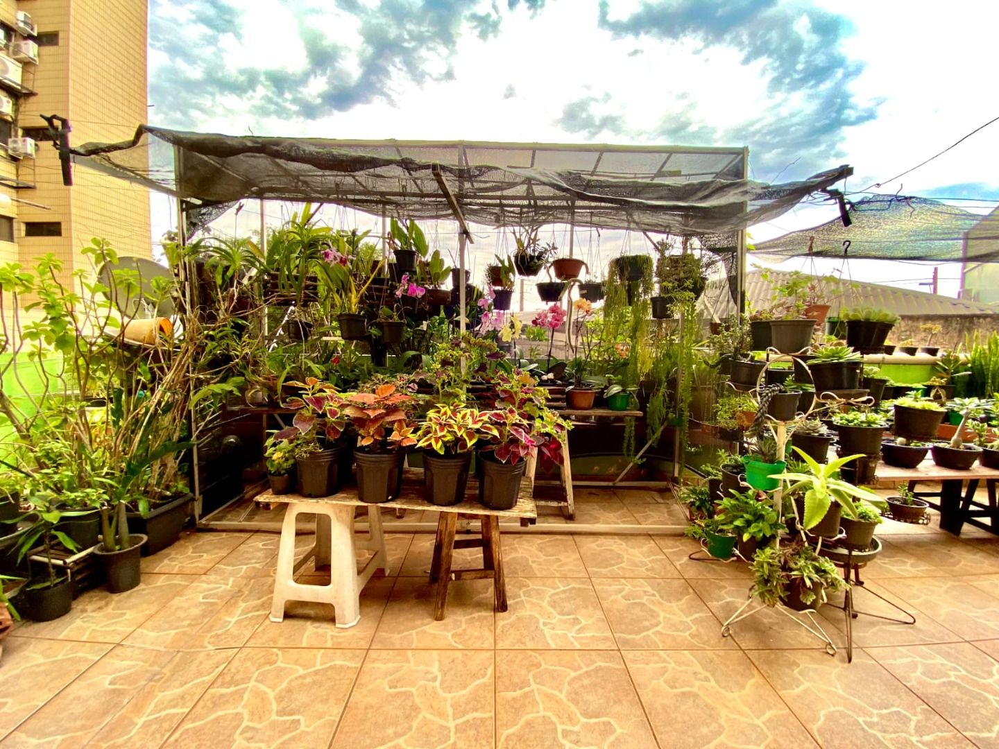 Comercial Centro Imagens do imóveis Comercial Centro