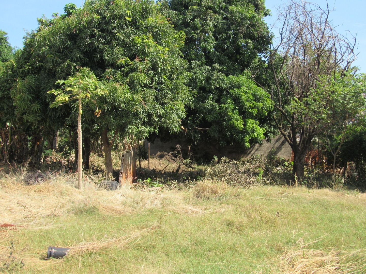 Imagens do imóveis Terreno Portuguesa