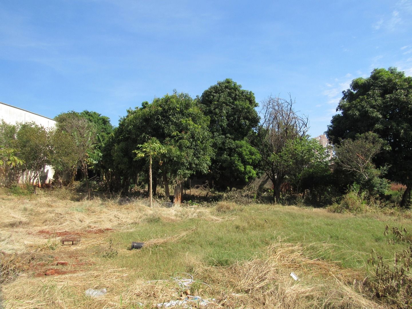 Imagens do imóveis Terreno Portuguesa