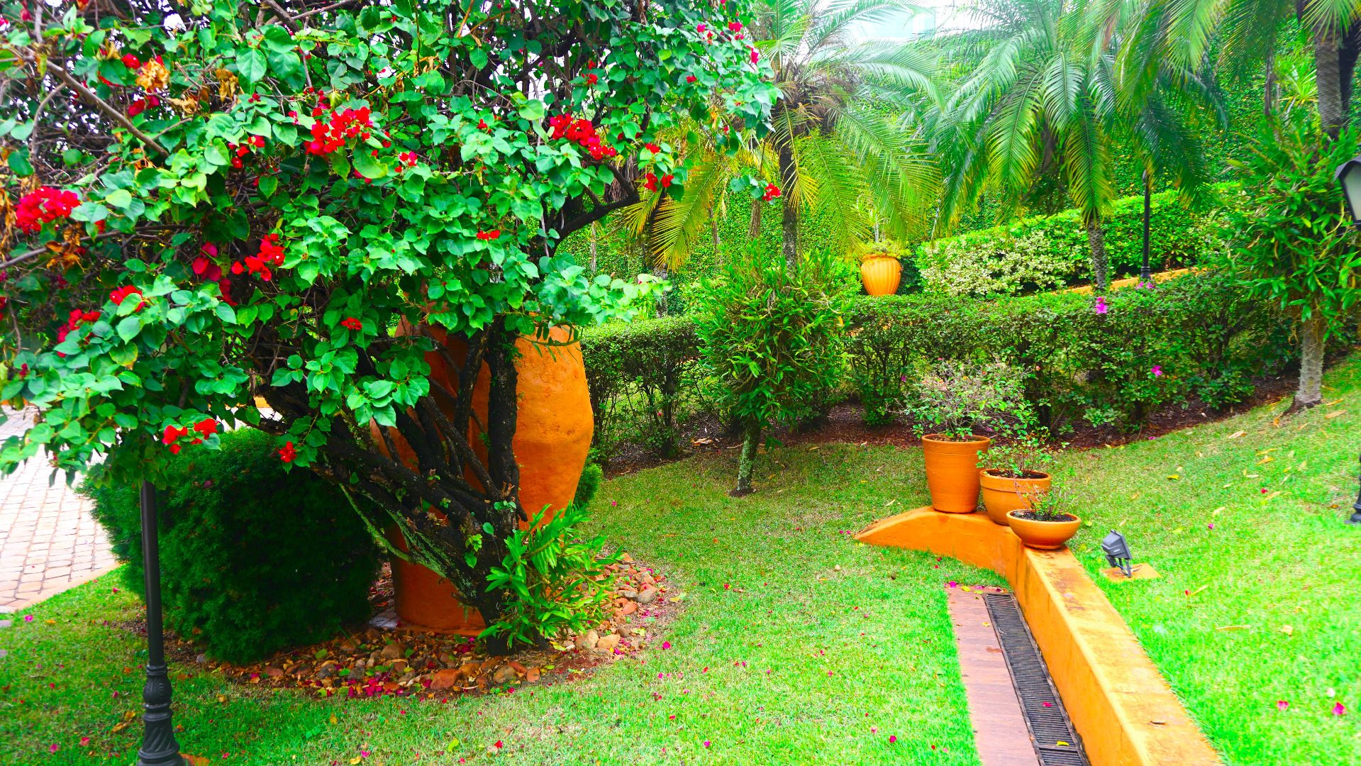 Imagens do imóveis Bela Suíça Bela Suiça