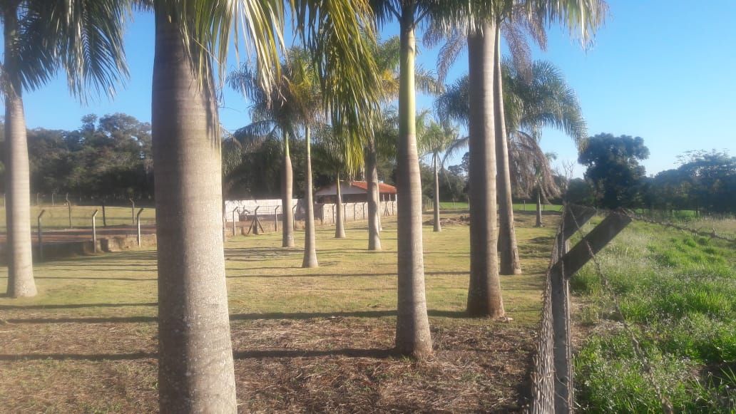 Imagens do imóveis Terreno Gleba Palhano
