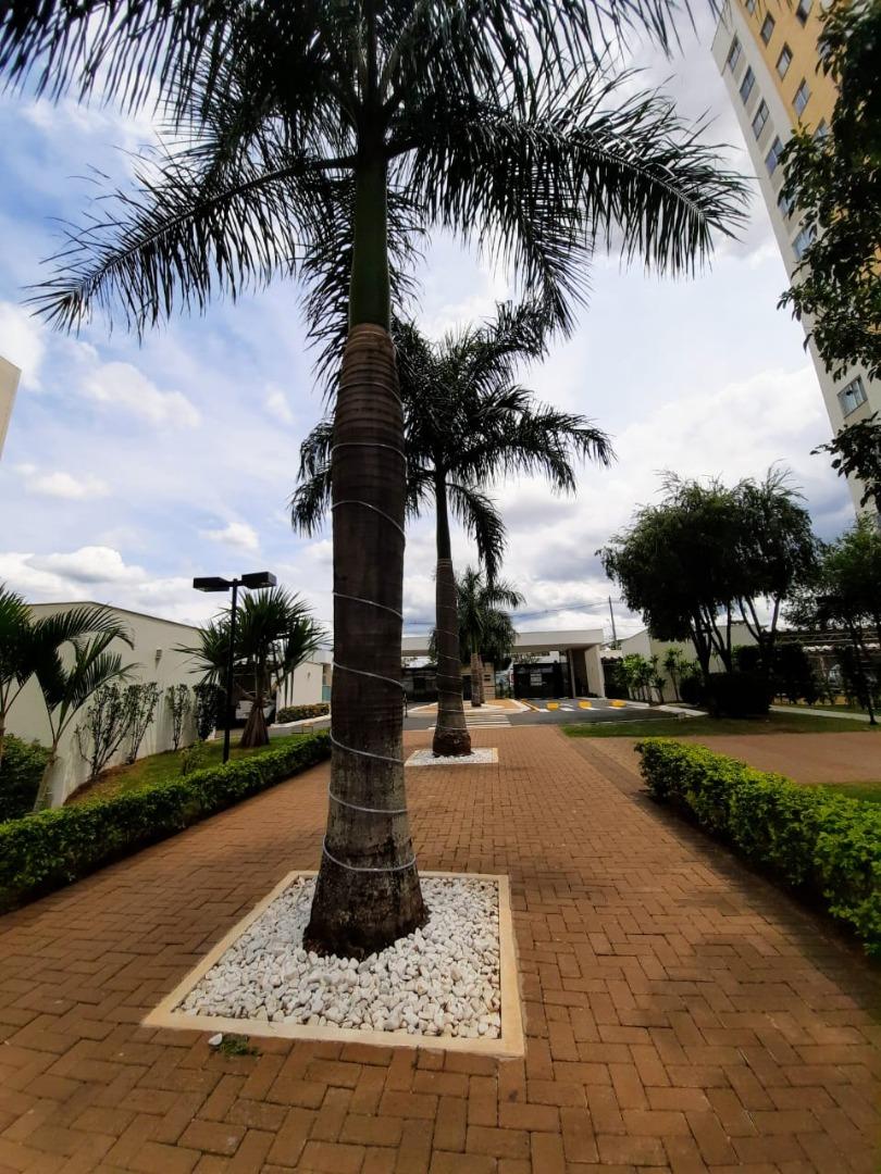 Marco do Pioneiros Jardim Morumbi Imagens do imóveis Marco do Pioneiros Jardim Morumbi