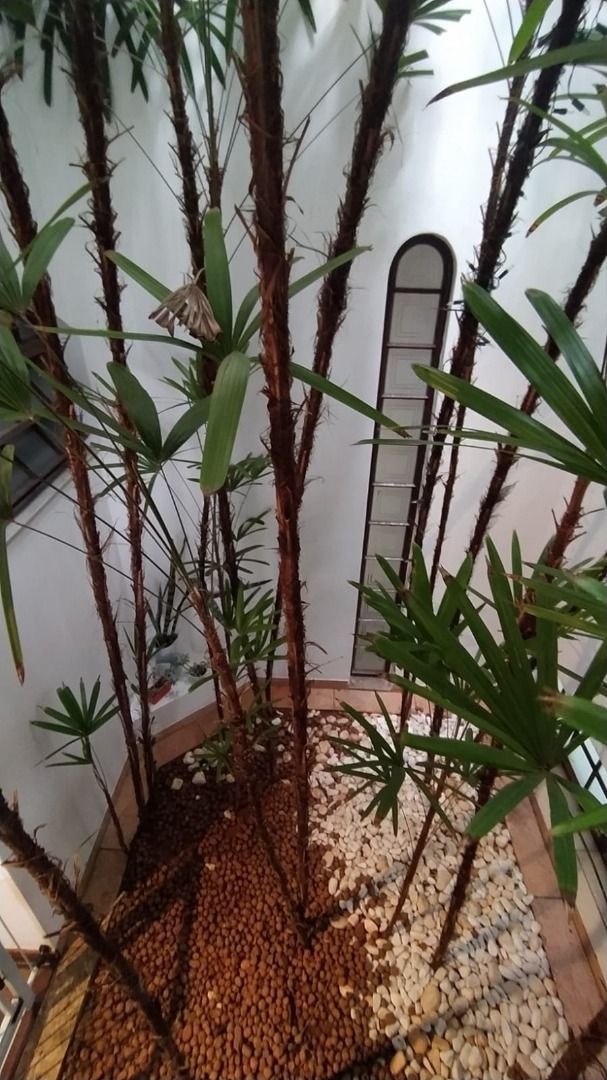 Imagens do imóveis Casa Lago Parque