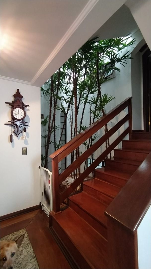 Imagens do imóveis Casa Lago Parque