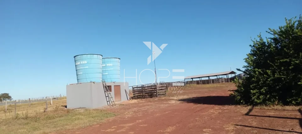Imagens do imóveis Fazenda à venda com dupla aptidão - 553 hectares - estruturada para pecuária e agricultura - Bom Jesus TO