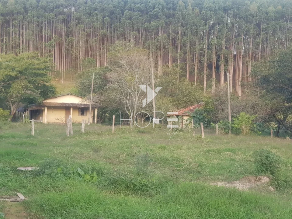 Imagens do imóveis Fazenda de eucalipto à venda com 124 alqueires - alto potencial florestal - Vale do Paraíba - Paraíbuna SP