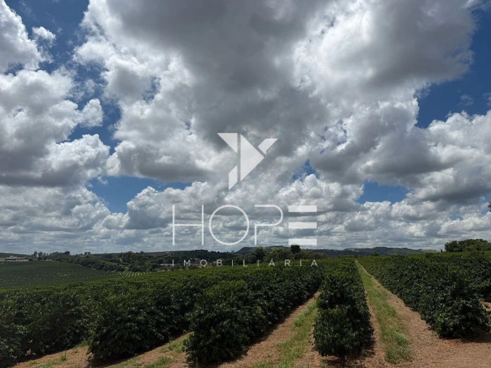 Imagens do imóveis fazenda cafeeira à venda 640 hectares irrigada – município de São Sebastião do Paraíso – Minas Gerais