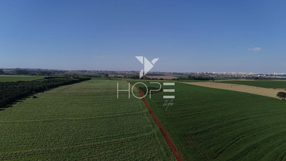 Imagens do imóveis Sítio à venda com 15 alqueires - 363.000m² - região do Bratislava - Londrina PR
