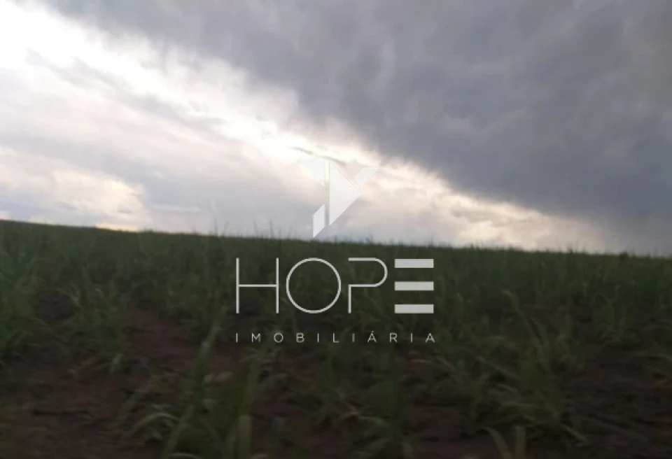 Imagens do imóveis Fazenda 304 Alqueires - Cana Plantada e Arrendada - Mineiros GO - 1.470 Hectares