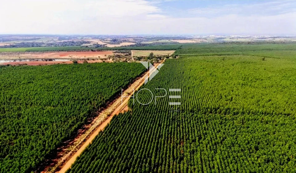 Imagens do imóveis Fazenda à venda com Eucalipto 321 alqueires - 777 hectares - arrendada Para Suzano - beira Rio Tietê - Itu SP