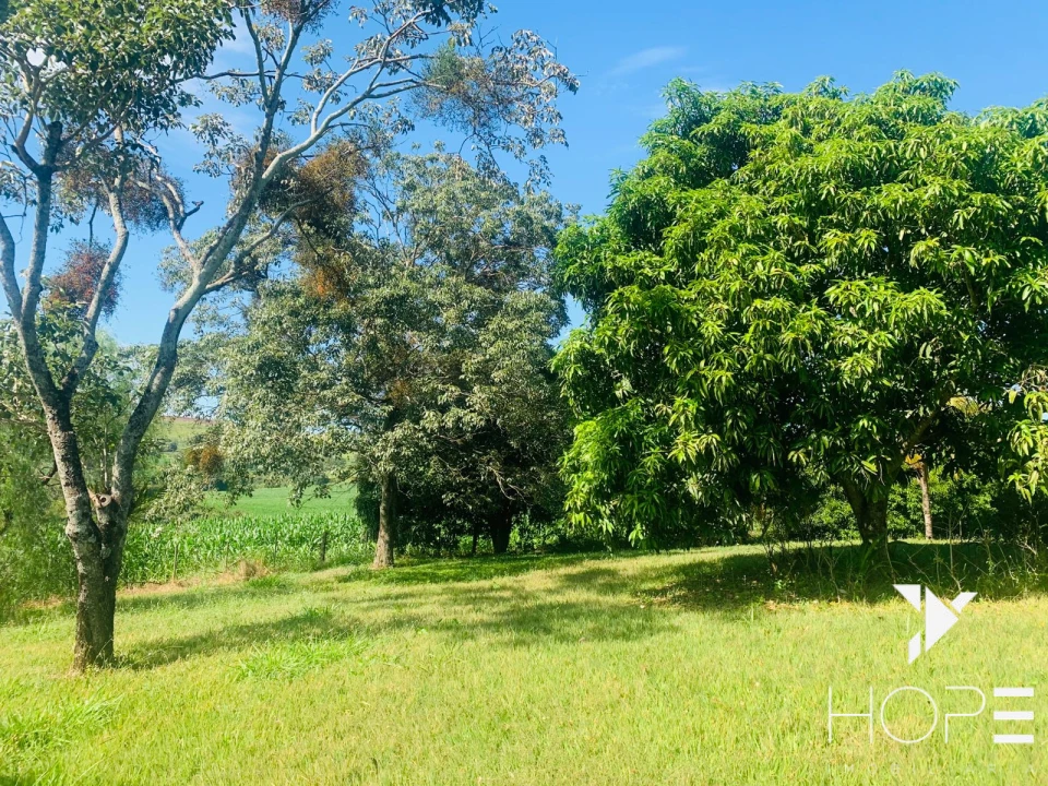 Imagens do imóveis Fazenda agrícola e pecuária à venda – 84 alqueires – Sertanópolis/PR