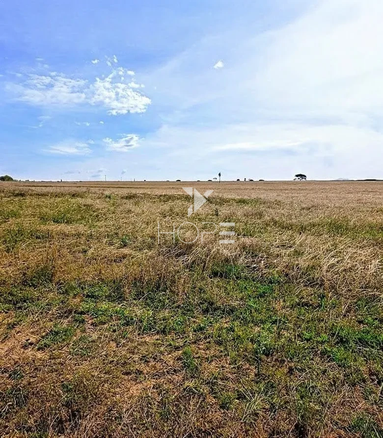 Imagens do imóveis Fazenda à venda com 155 alqueires - dupla aptidão - beira de rodovia - Nossa Senhora das Graças PR