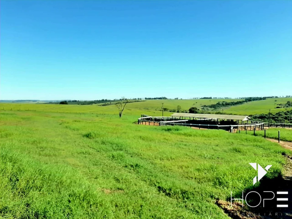 Imagens do imóveis Fazenda de 217 Alqueires – Localização Estratégica na Beira da Rodovia, a Apenas 50 km de Campo Mourão