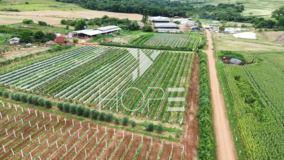 Imagens do imóveis Fazenda à venda 53 alqueires leiteira – região de Guarapuava – Paraná