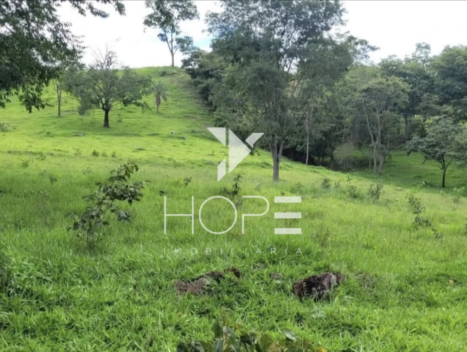 Imagens do imóveis Fazenda Dupla Aptidão - 112 Alqueires - Água Fria de Goiás GO - 542 Hectares - Boa de Água  - Eucalipto e Acácia