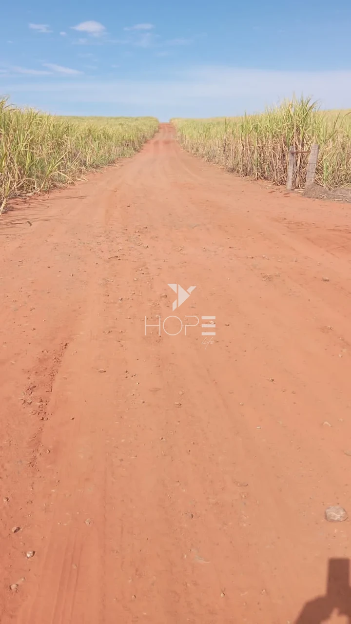 Imagens do imóveis Fazenda à venda com 158 alqueires - 85% aproveitamento - dupla aptidão - beira da rodovia - região de Maringá PR