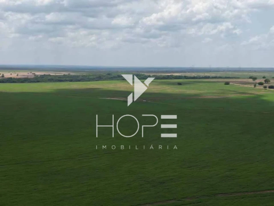 Fazenda de grande porte à venda em Araguaína/TO – 8.228 ha (1.700 alqueirões) para pecuária e lavoura
