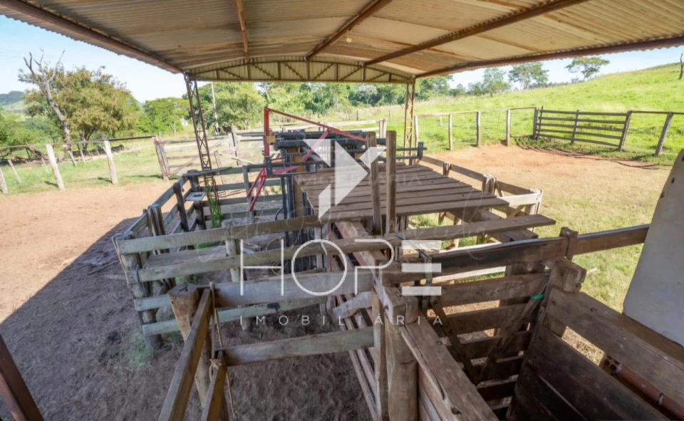 Imagens do imóveis Fazenda à Venda em Marília/SP – Fazenda Terra Boa – 127 Alqueires – Arrendada para Pecuária