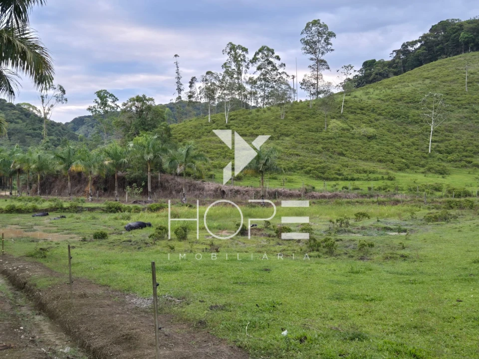 Imagens do imóveis Fazenda Produtiva à Venda na Região de Registro/SP – 174 Alqueires – Estrutura para Pecuária Leiteira – Abundância de Água