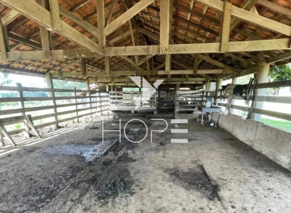 Imagens do imóveis Fazenda à Venda Proximo a Marília/SP – 146 Alqueires – 90% Aproveitamento – Rica em Água