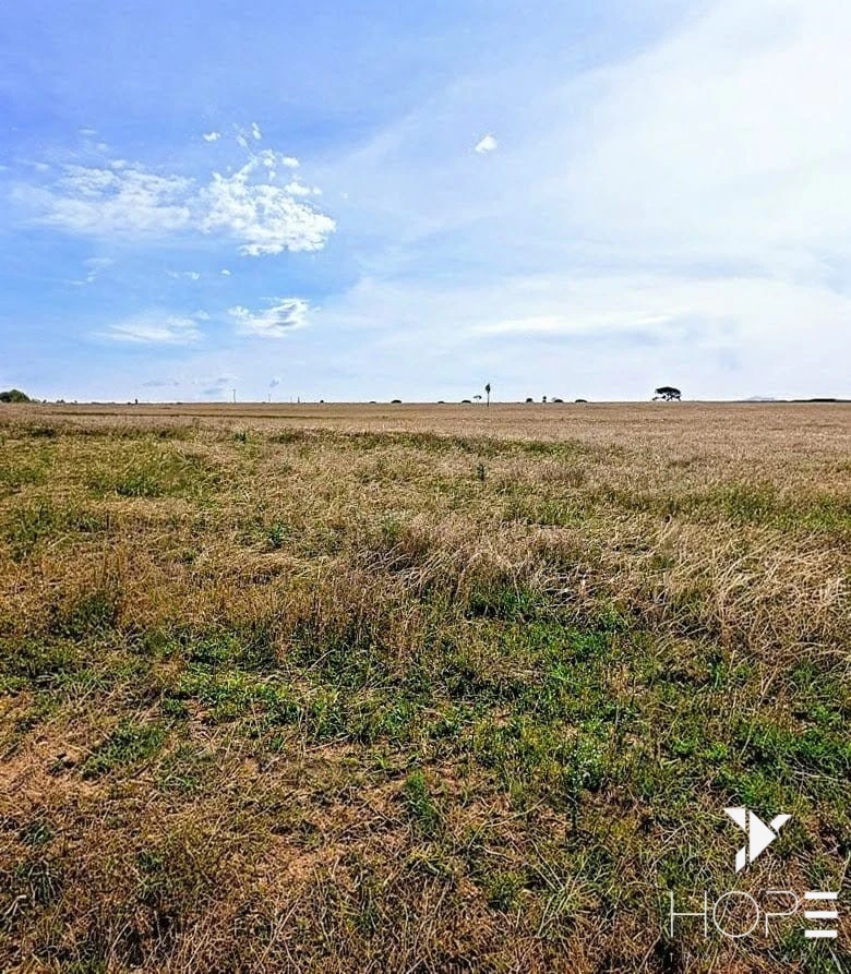 Fazenda à Venda – 155 Alqueires – Nossa Senhora das Graças/PR