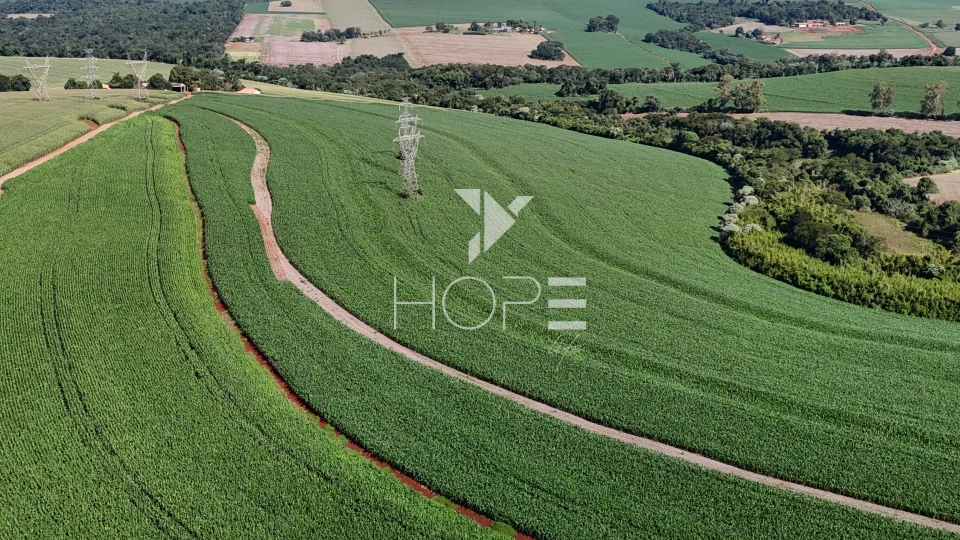 Sítio à venda com 35 alqueires - 847.000m² - próximo à Venda dos Pretos - Cambé PR