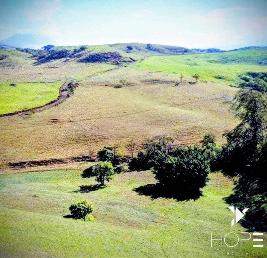 Imagens do imóveis Fazenda à Venda – 160 alqueires – Ortigueira/PR – Estrutura completa e localização privilegiada - 25 km da Cidade