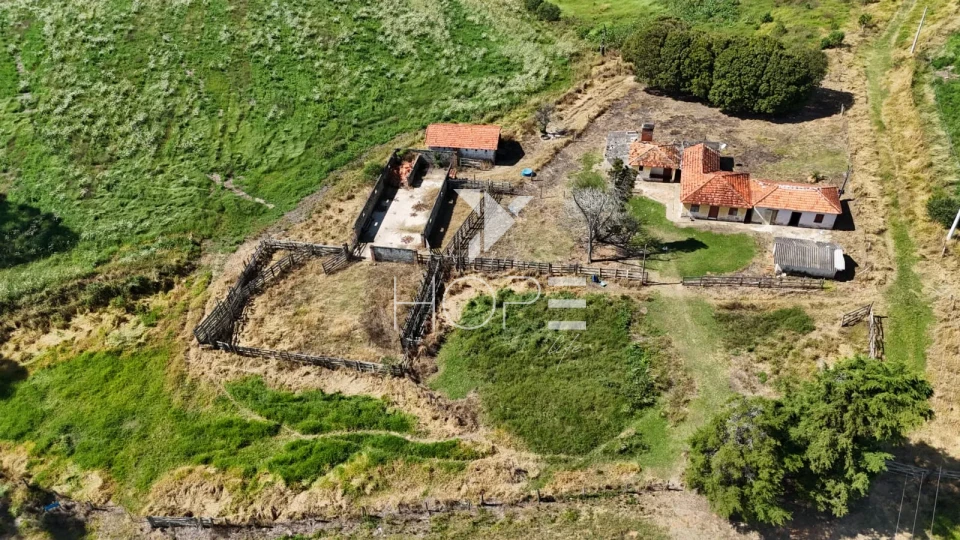 Imagens do imóveis Fazenda à venda com 48.25 alqueires - agricultura e pastagem - frente para o asfalto - São Miguel Arcanjo SP