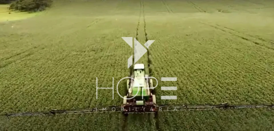 Fazenda à Venda – Região de Londrina/PR – 1.390 Alqueires – Ativo Agropecuário Multifuncional