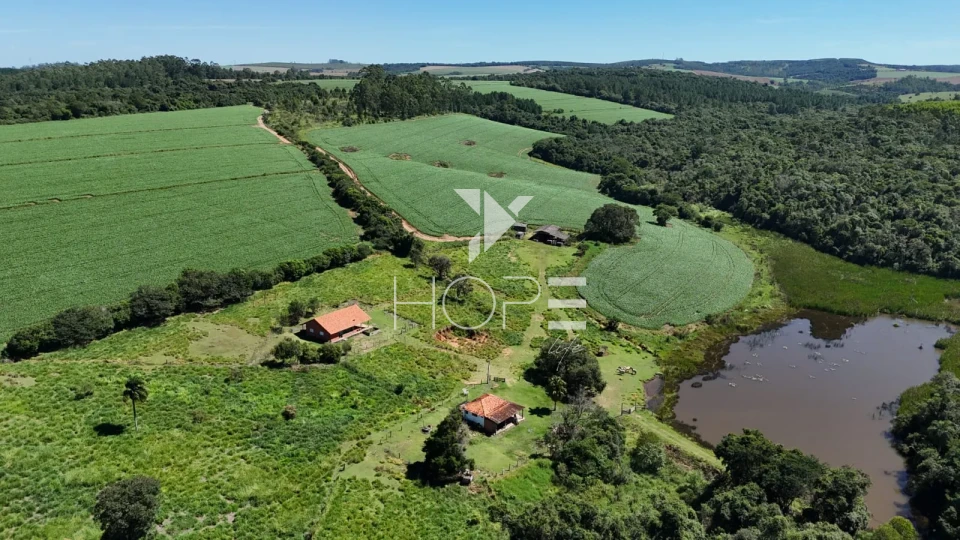 Imagens do imóveis Fazenda à venda com 75 alqueires (181.5 hectares) - agricultura e eucalipto - São Miguel Arcanjo SP