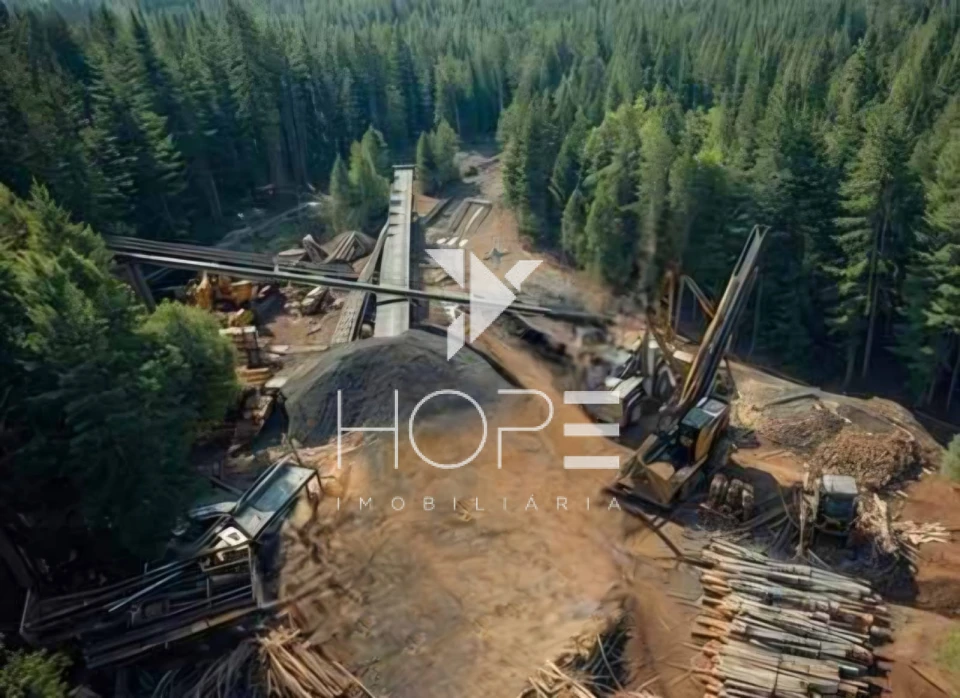 Imagens do imóveis Ativo Florestal Multifuncional - Cambará do Sul RS - 3.199 Hectares - Pinus Araucária Eucalipto - Madeira Carbono Energia