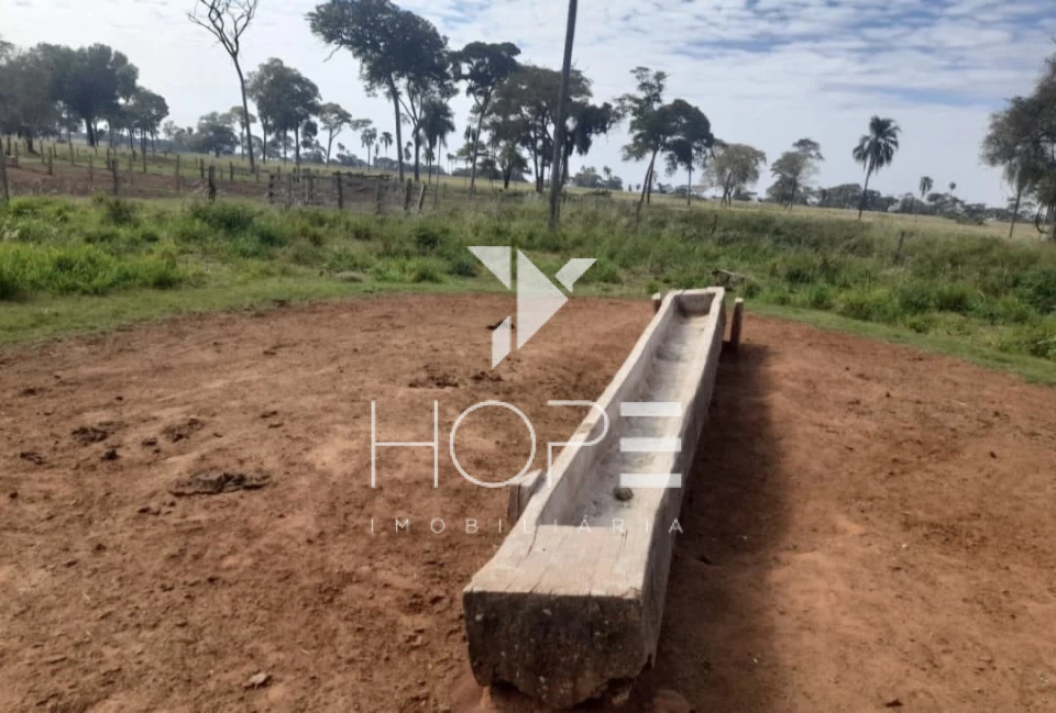 Imagens do imóveis fazenda à venda 622 alqueires dupla aptidão margem de rio – município de Bataguassu – Mato Grosso do Sul