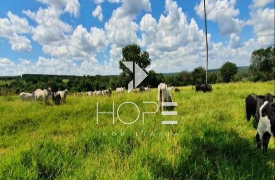 Imagens do imóveis Fazenda à Venda - 19 Alqueires - Dupla Aptidão - Região de Prata MG - Entre Prata e Uberlândia - Triângulo Mineiro