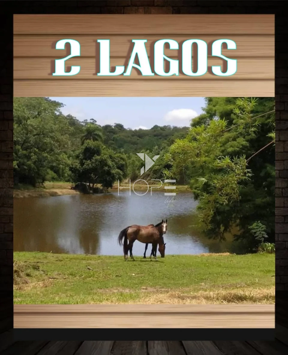 Imagens do imóveis Haras de alto padrão à venda com 7 alqueires - 36 baias - 26 piquetes - São Roque SP