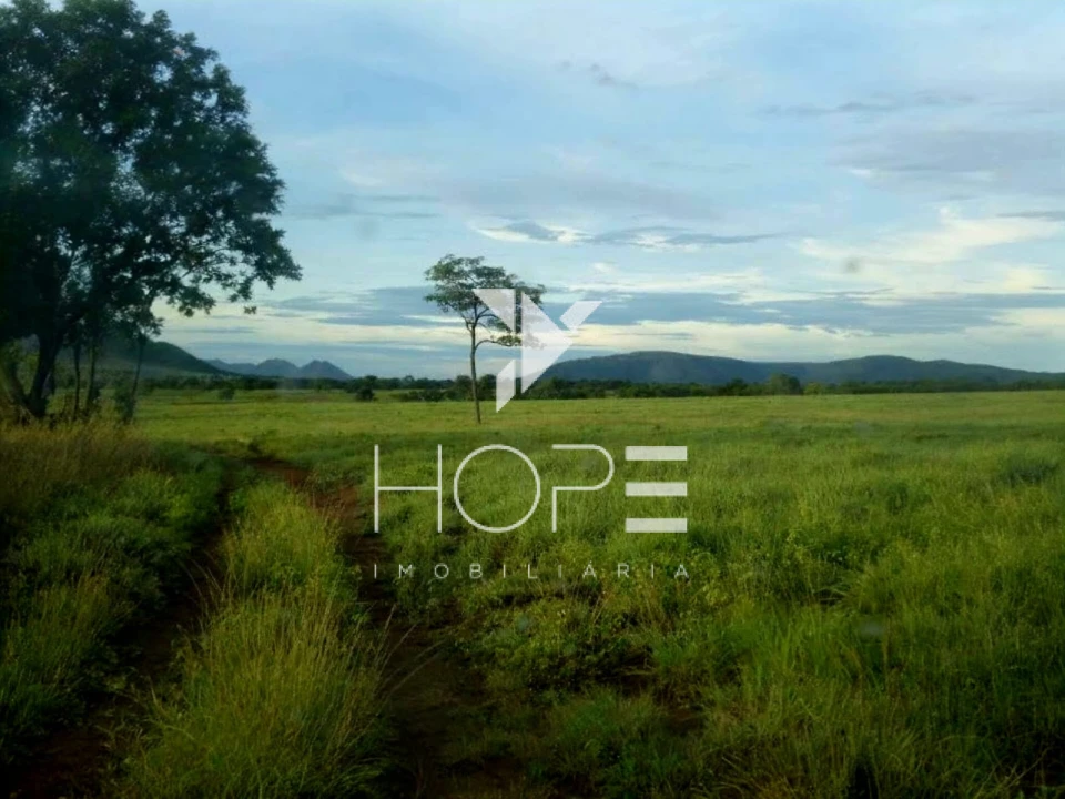 Fazenda à venda – 1.750 Alqueires (4.235 Hectares) – Alvorada do Norte/GO