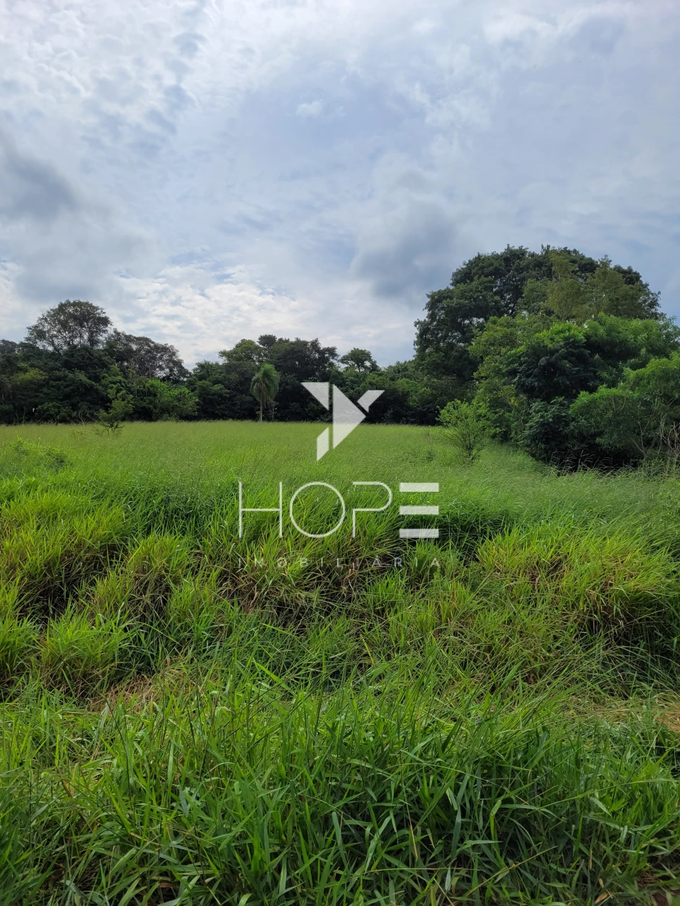 Sítio à Venda – 17 Alqueires – Gleba Rio Bom – Novo Itacolomi PR