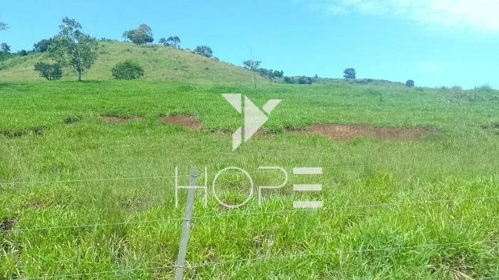 Imagens do imóveis Fazenda Porteira Fechada à Venda – 355 Alqueires – Nova Tebas/PR – Pecuária Montada (Nelore) – Estrutura Completa